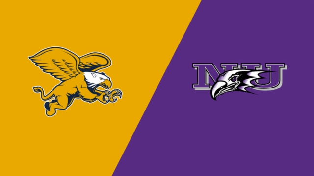 给德国队带 给德国队带